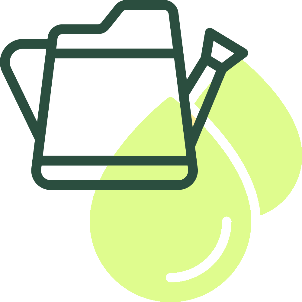 On-site review icon