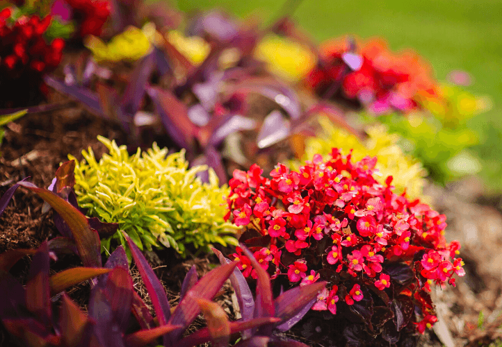 Landscape Lighting