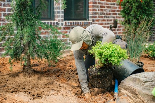 Landscaping installation in Saint Louis